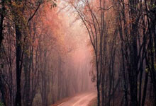 西媒報道 巴列霍因身體狀況不佳或缺席皇馬對陣切爾西.